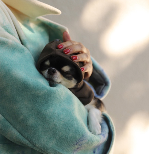 〈パディ バイ ワフォナ〉ペット用品