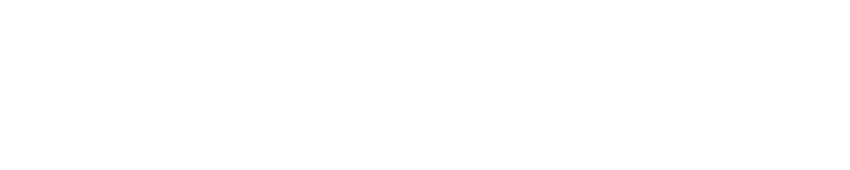 THE DIAMOND ROOM