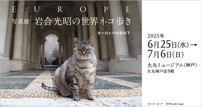 写真展 岩合光昭の世界ネコ歩き