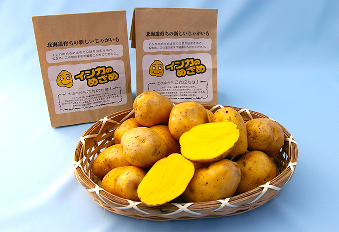 いちふじ柴田商店