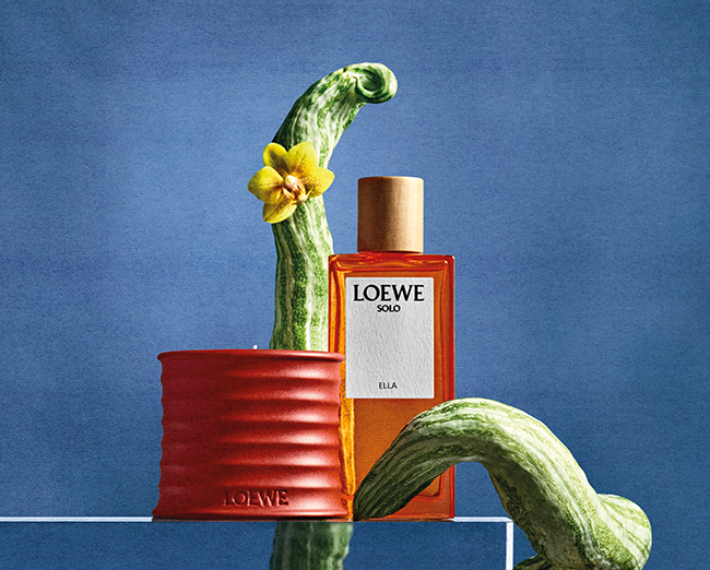 【美品】【LOEWE】Aura 80ml オーデパルファム デッドストック廃盤品 美品】【LOEWE】Aura 80ml オーデパルファム デッドストック廃盤品