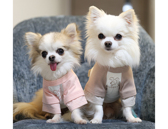 〈RITOGATO〉のウエア