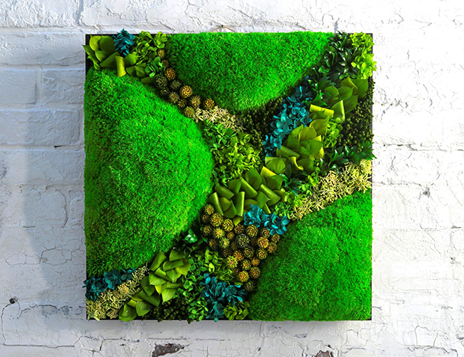 苔のプリザーブドフラワー グリーンウォール
