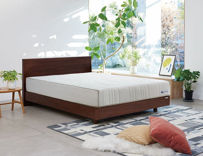 MattresFit体験と新商品ご紹介