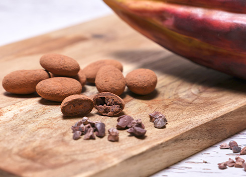 発酵カカオ豆とチョコレート専門店【カカオもの】