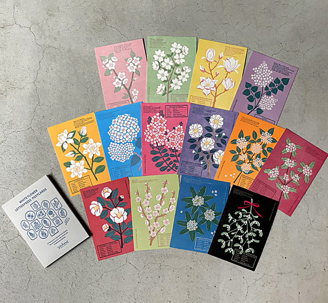 White Flower Postcard