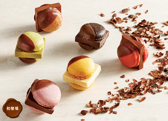 〈SOILCHOCOLATE & MAMEIL NAMA CHOCOLATE MACARON〉