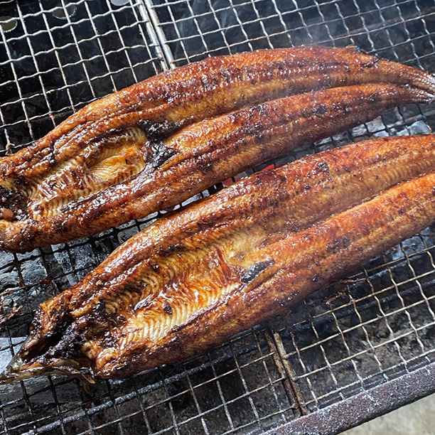 福岡県産 鰻の蒲焼(養殖)