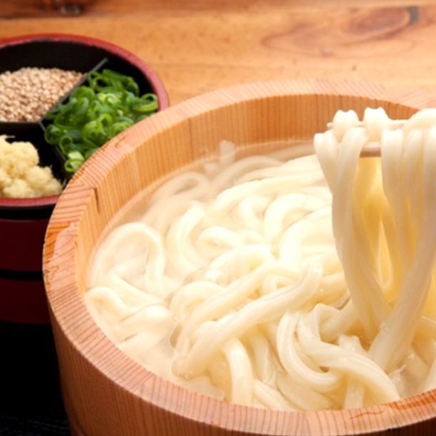 さぬきの小麦の生うどん 2～3人前
