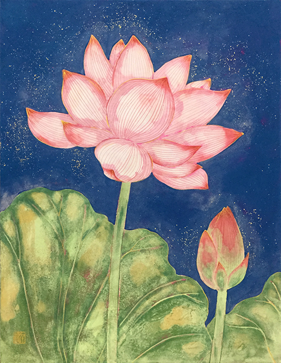 「蓮の花｣