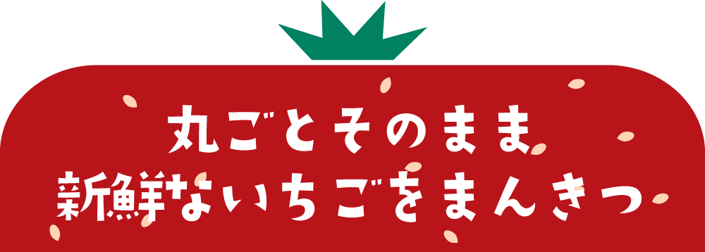 丸ごとそのまま新鮮ないちごをまんきつ