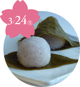 〈出町ふたば〉桜餅(2個入り)《限定数50》