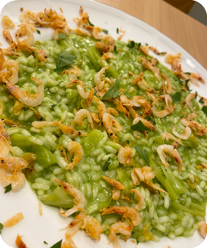 〈LA RISOTTERIA〉春キャベツのリゾット桜えび添え