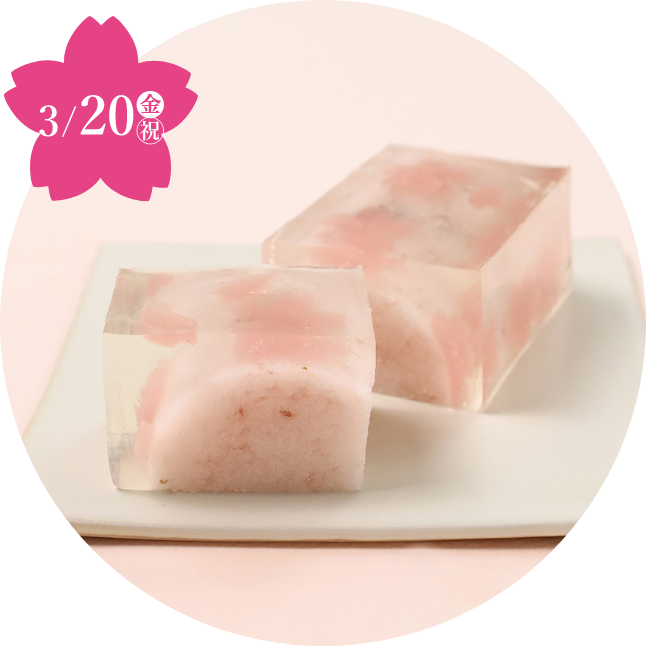 〈⻲屋良⻑〉円⼭の桜(1本)