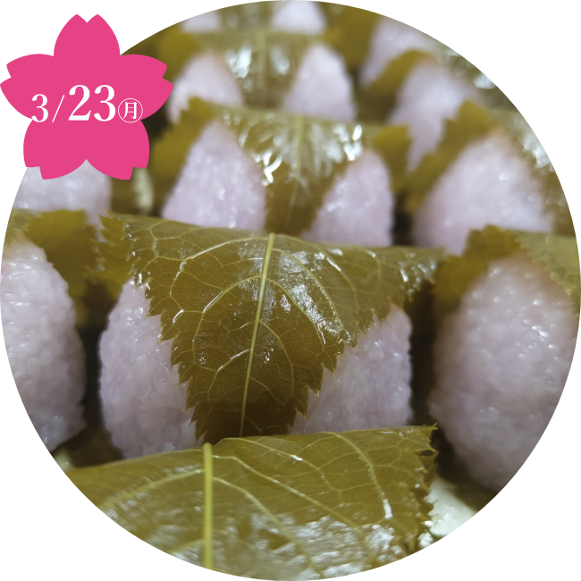 〈まるに抱き柏〉桜餅(2個)