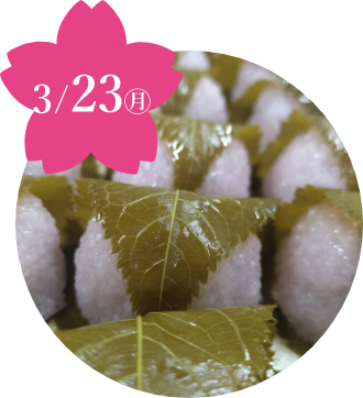 〈まるに抱き柏〉桜餅(2個)