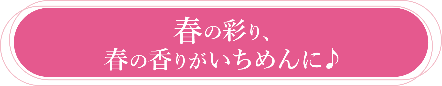 季節のときめき 春スイーツ＆春そう菜