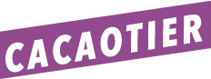 CACAOTIER