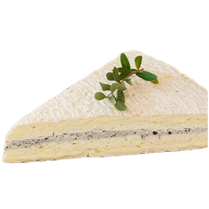 チーズ専門店チーズ王国