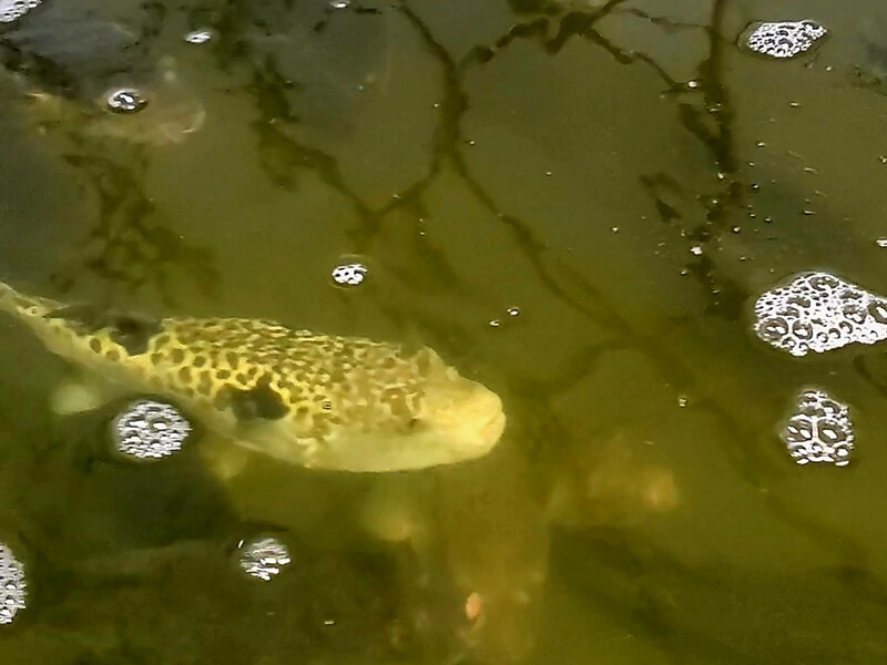 大丸札幌店ディスカバリー北海道