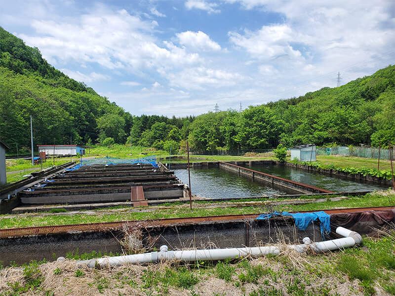 大丸札幌店ディスカバリー北海道