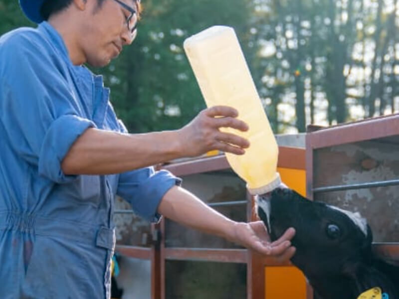 向陽畜産北海道ハーブ牛