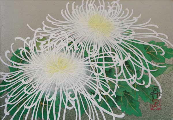 糸菊