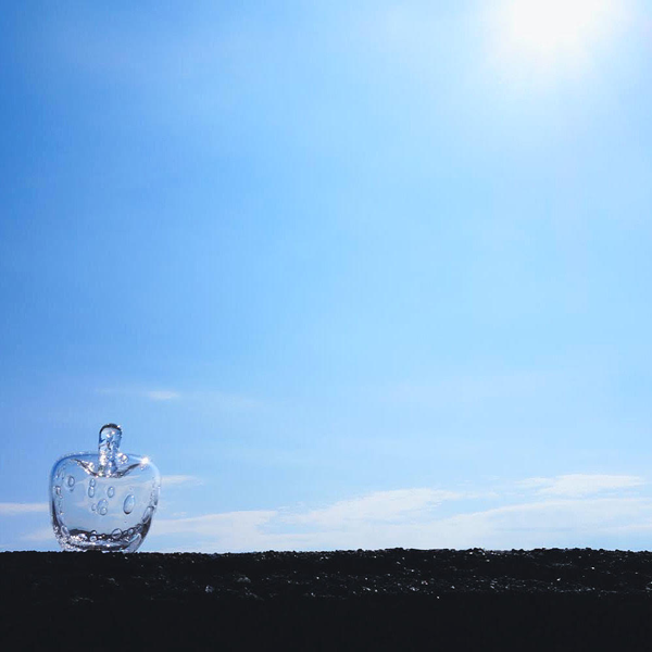 藤原典子／フジハラノリコ