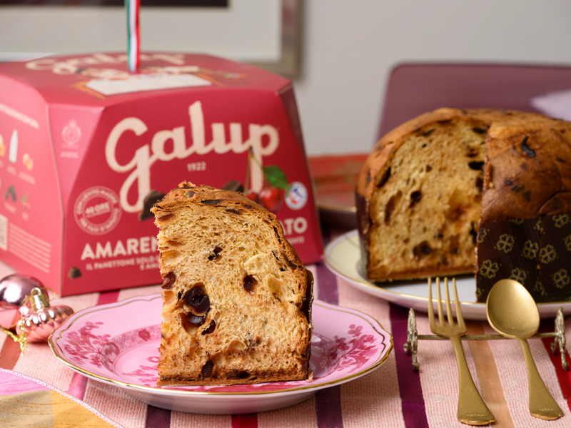 アマレーナとダークチョコレートのパネットーネ750g