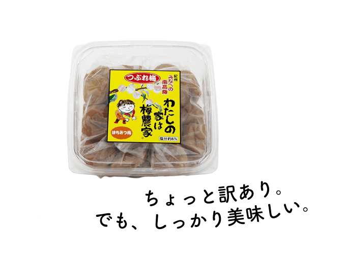 大丸札幌店ほっぺタウンランキング定番商品部門3位 ぷらむ工房
