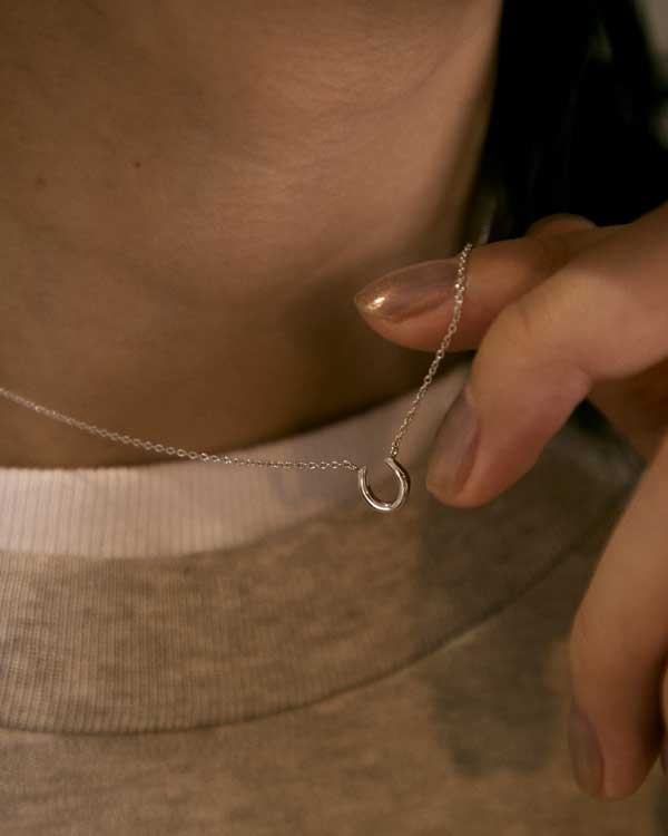 Horseshoe Necklace