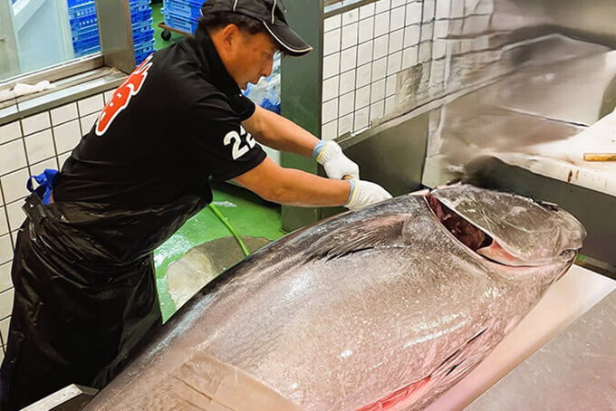 大丸札幌店マグロ解体セール