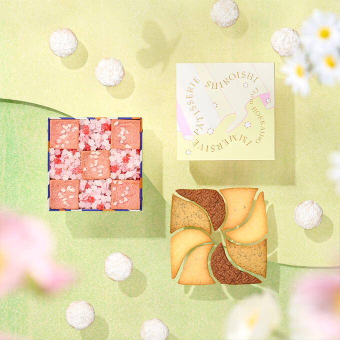 しろいし洋菓子店のクッキー缶～野花のスケッチ～