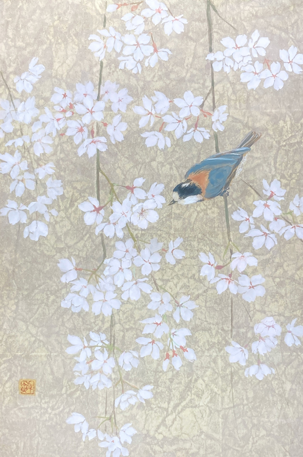 近衛の糸桜ー訪れー