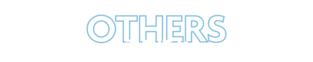 そのほか