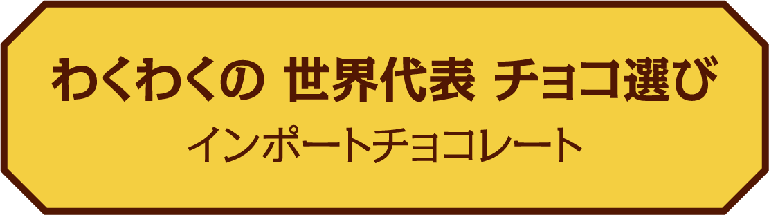 わくわくの 世界代表 チョコ選び インポートチョコレート