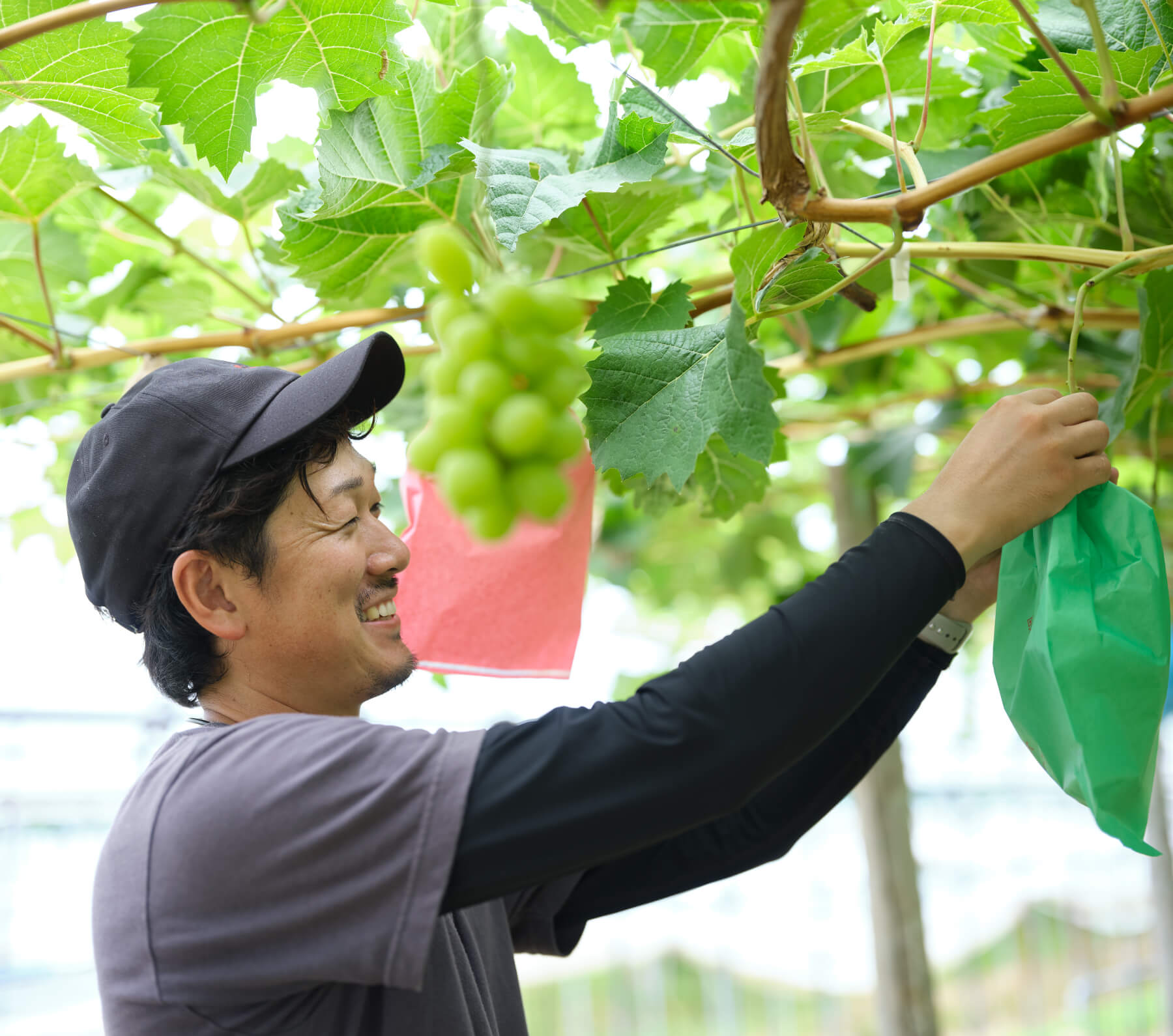 安藝 元伸