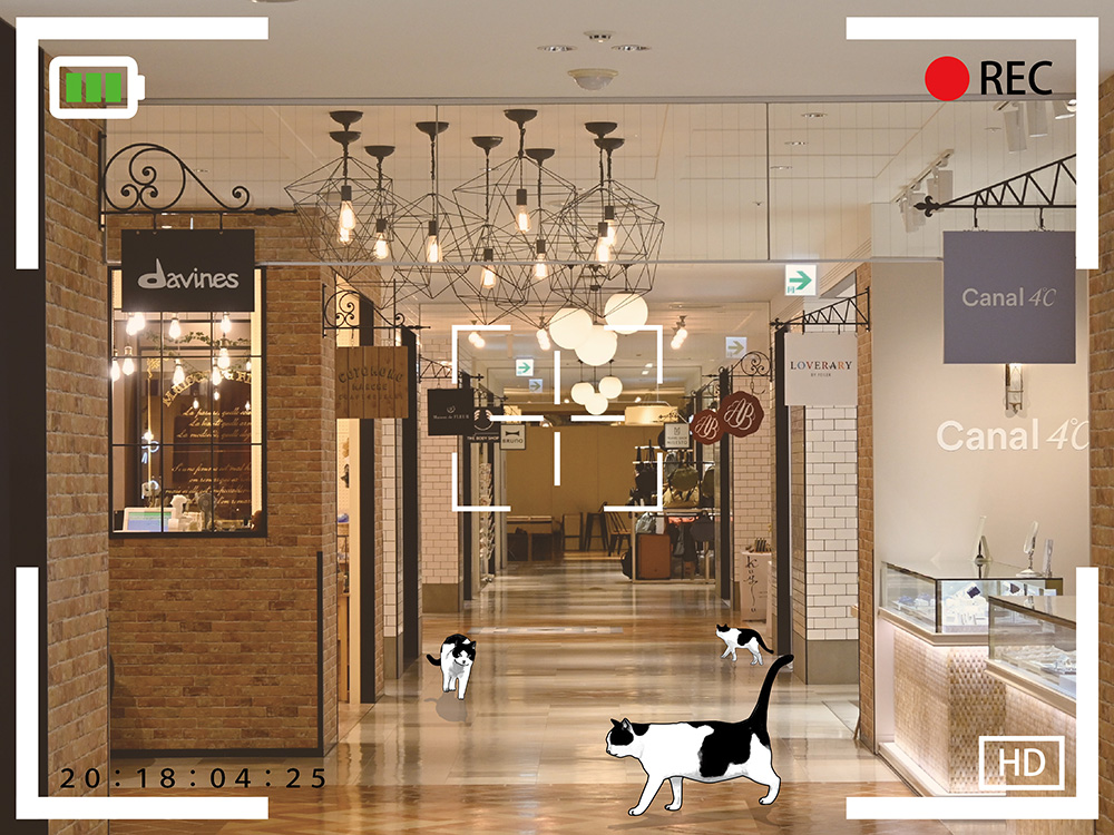 「知ってる？キキヨコチョ」 北海道情報大学生によるキキヨコチョ紹介動画制作