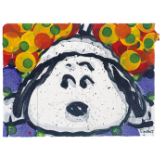 トム・エバハート展