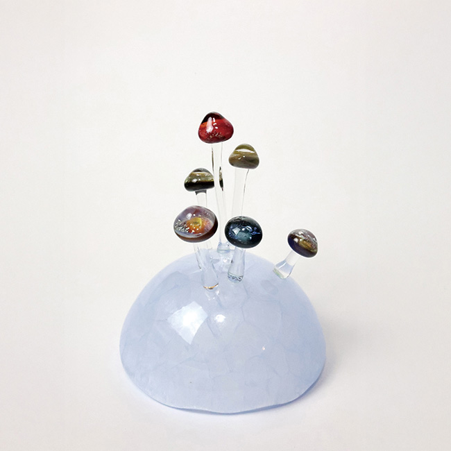 金丸遥『木の子の星 -cosmos-』