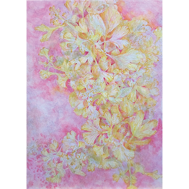 宮崎美子『そばにあったもの。』