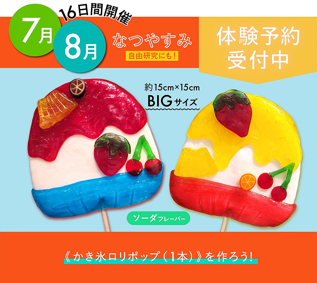 ワークショップ