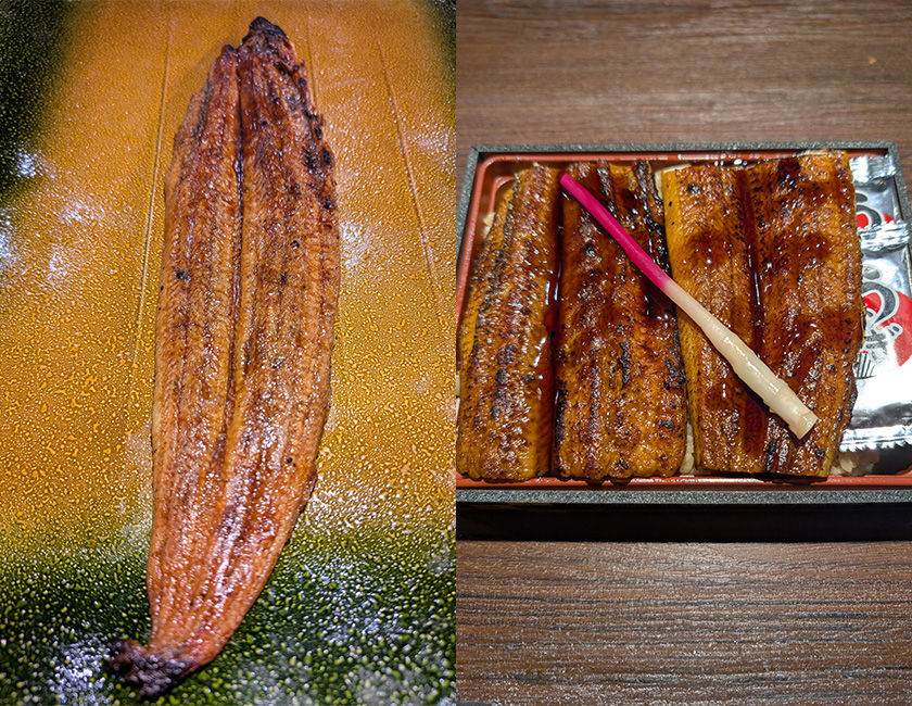 魚くみ