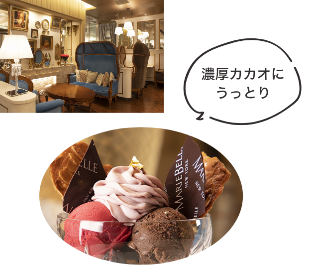 濃厚カカオにうっとり