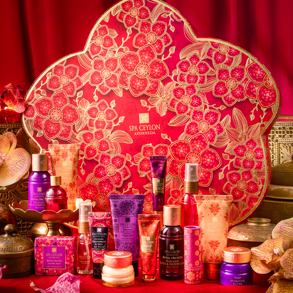 〈スパセイロン〉