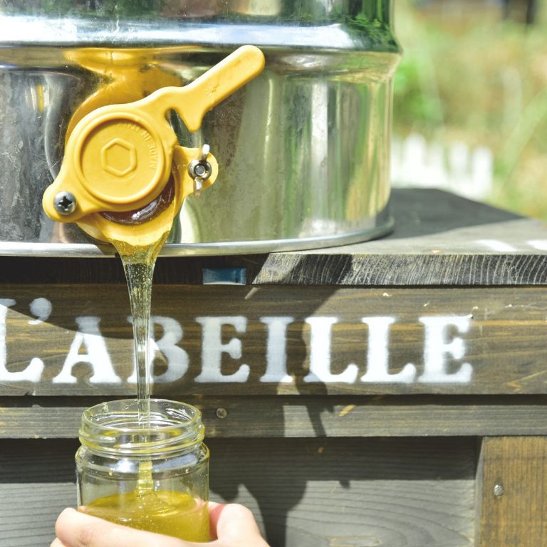 L'ABEILLE