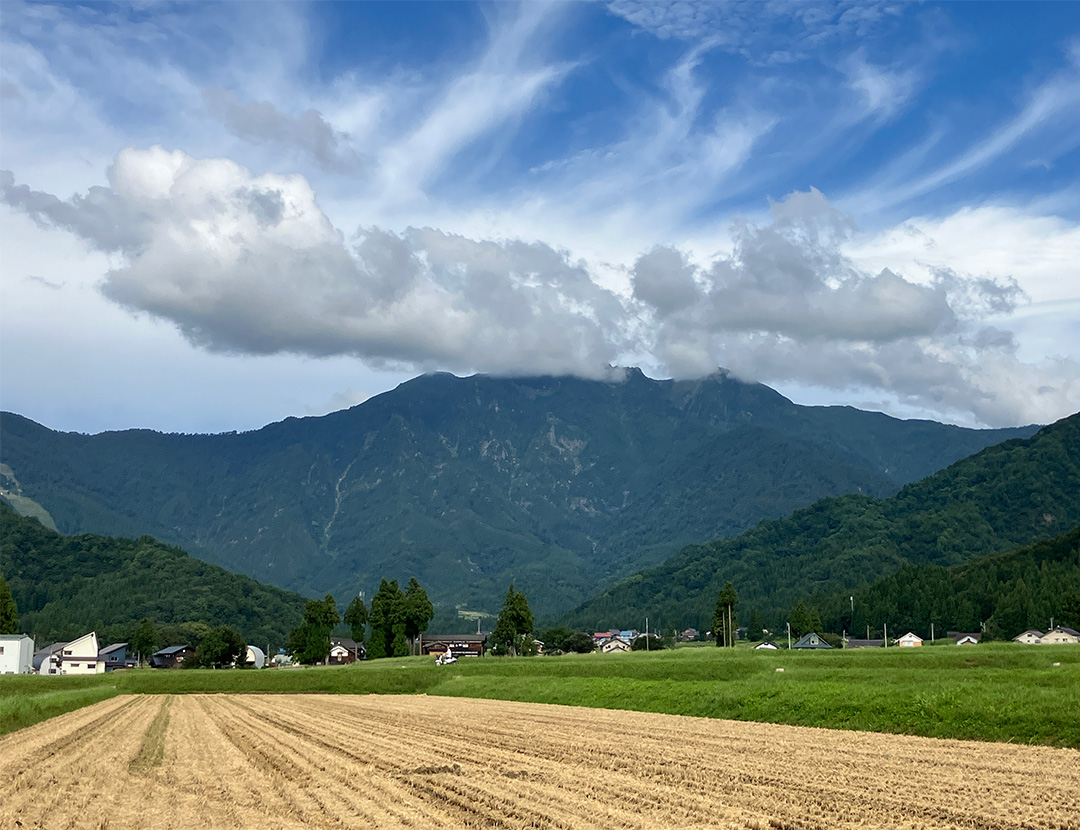 八海醸造