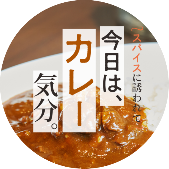 今日はカレー気分