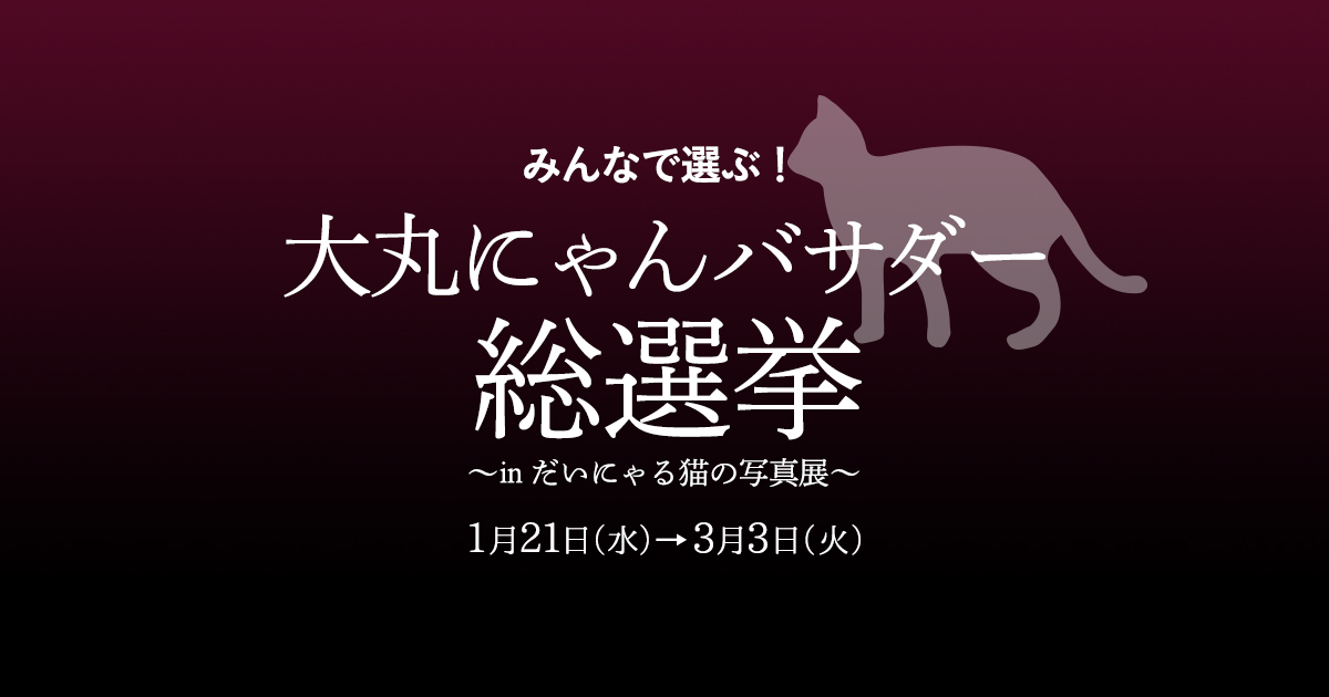 だいまるにゃん 大丸にゃんバサダー総選挙｜大丸東京店