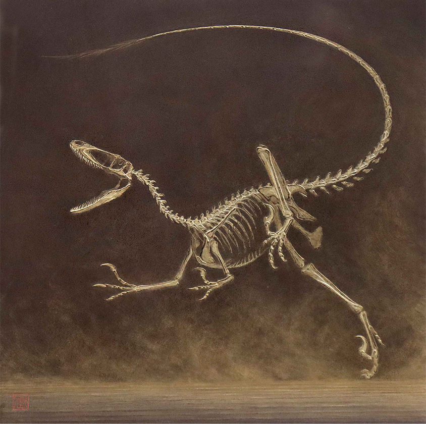 「Ｈｕｎｔｅｒ」